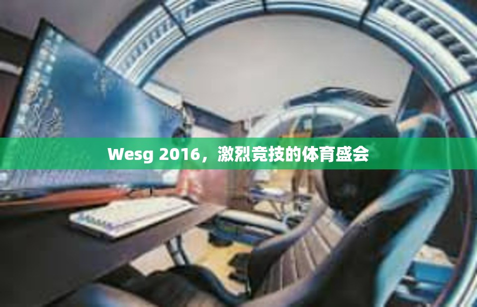 Wesg 2016，激烈竞技的体育盛会